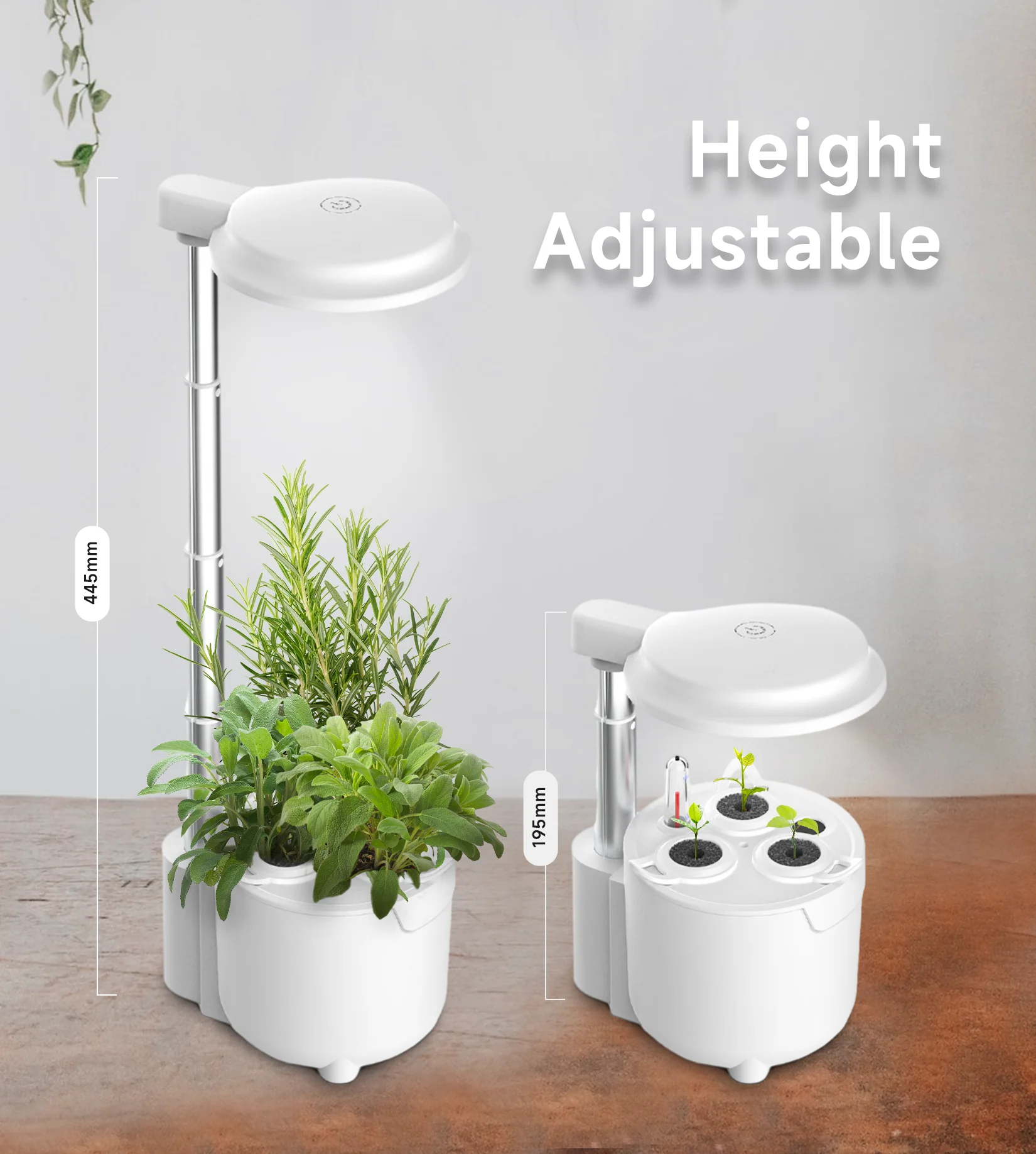 Indoor Herb Garden Growing Kit Hydroponic Small Hydroponic Herb Garden Home Garden Grow Kit Indoor Grow System with LED