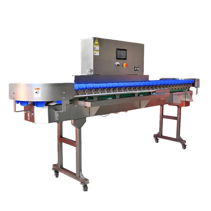 Industrial crawfish lobster sorting machine/meat strip snack grading machine for food factory