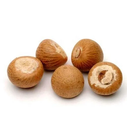 High Quality Viet Nam Whole Dried Betel Nuts / Areca Nuts for Wholesale
