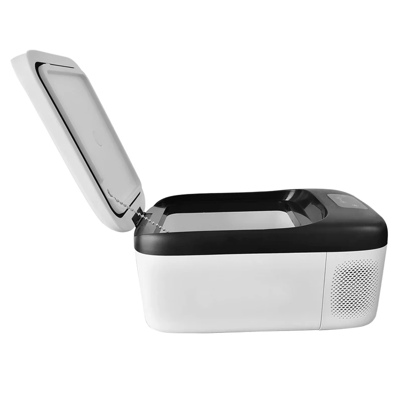 Portable Electric Cooler Icebox Car Fridge For Road Trip Dc Power Freezer