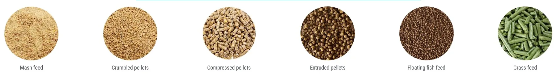 pellet