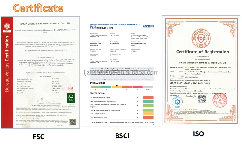 Certificate.jpg