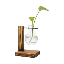 Plants Decoration Glass Plant Terrarium With Wooden Stand Test Tube Vase Wooden Vase