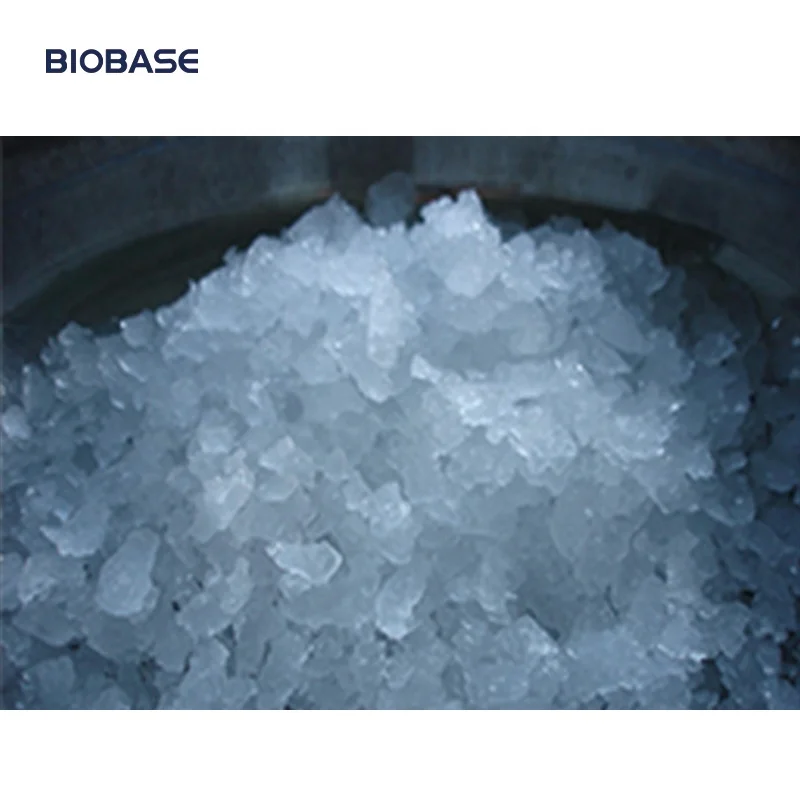 BIOBASE Китай льдогенератор хлопьев и цилиндрического льда 12 В