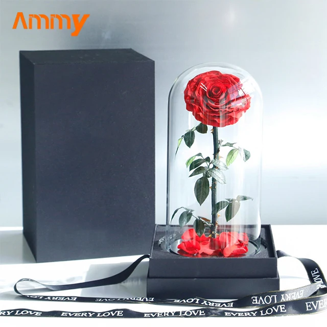 Ammy Factory Preserved Flower Rose Big Prince 3 Red Roses  Forever Flowers Eternal Roses In Glass Dome For Valentines Day Gifts