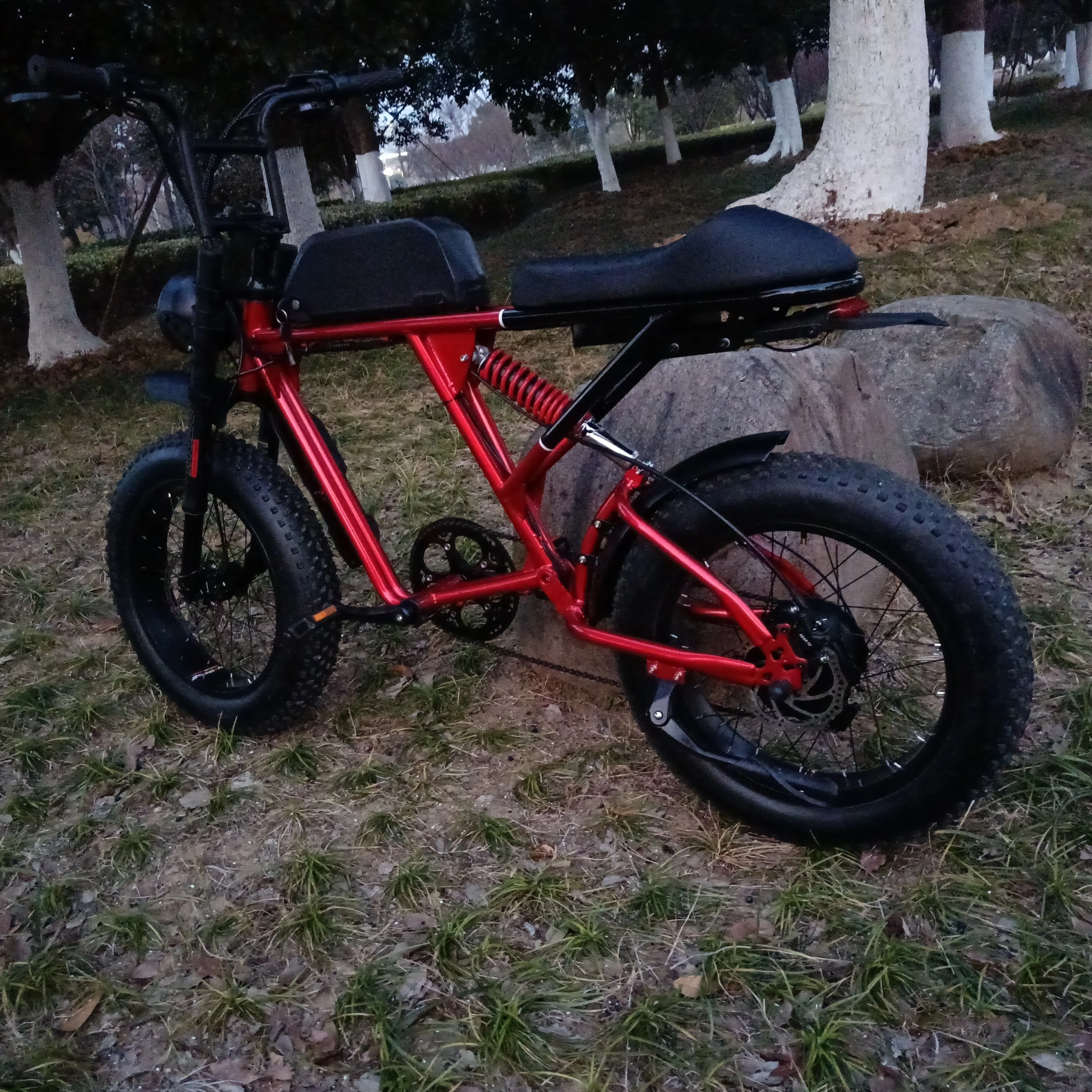 20 Inch 1000W 2 Seat Ebike Electric Bicycle Bicicleta Electrica 7 Speed 48V 17Ah Cheap Price For Retro Vintage Electric Bike 73