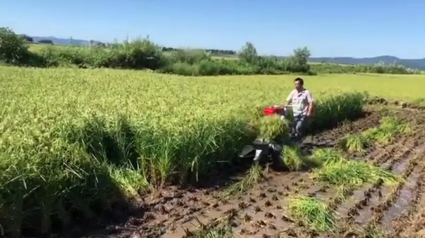 4GK90 Цена по прейскуранту завода жнец для риса пшеницы риса
