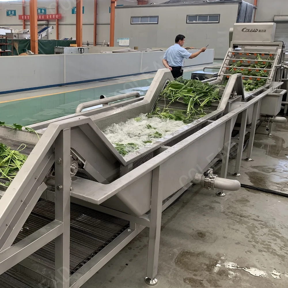 Wholesale Automatic High Efficiency Fruit And Vegetable Bubble Washing Machine