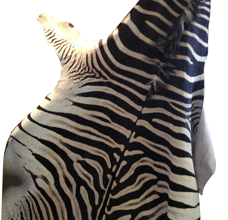 Zebra texture leather