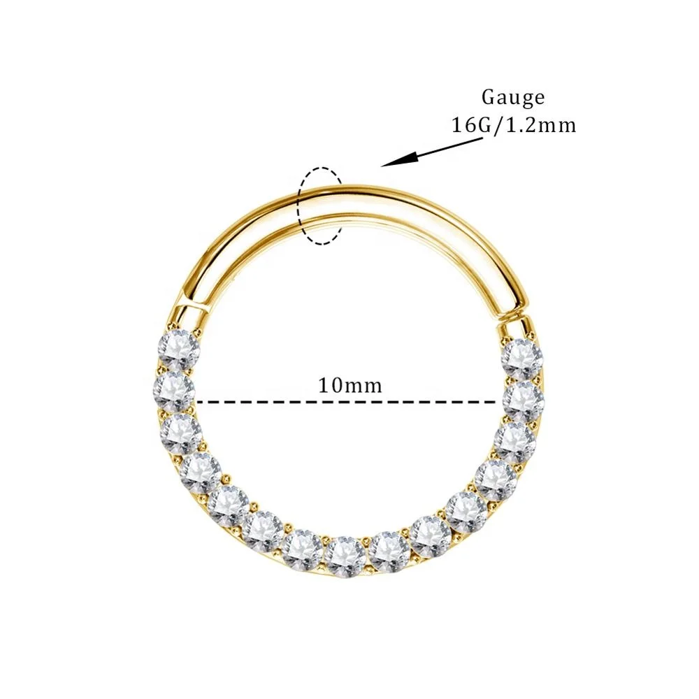 PVD Gold 316L Stainless Steel Gems Front CZ Clicker Segment Ring Body Piercing Jewelry