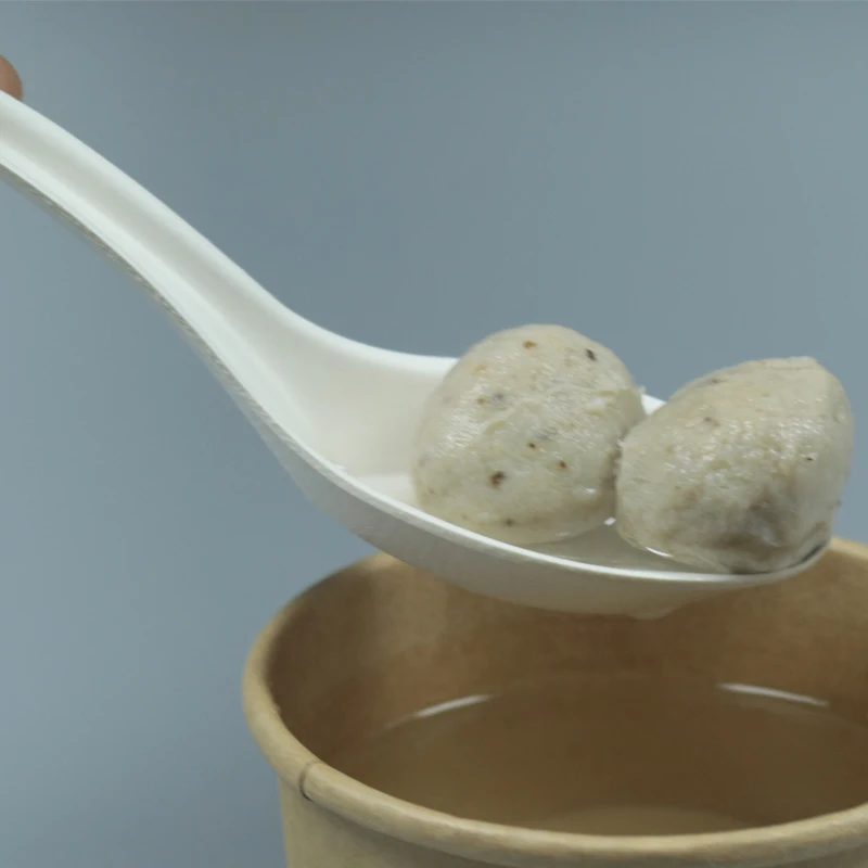 Biodegradable Disposable Paper Sugarcane Bagasse Chinese Soup Dinner Spoon For Serving