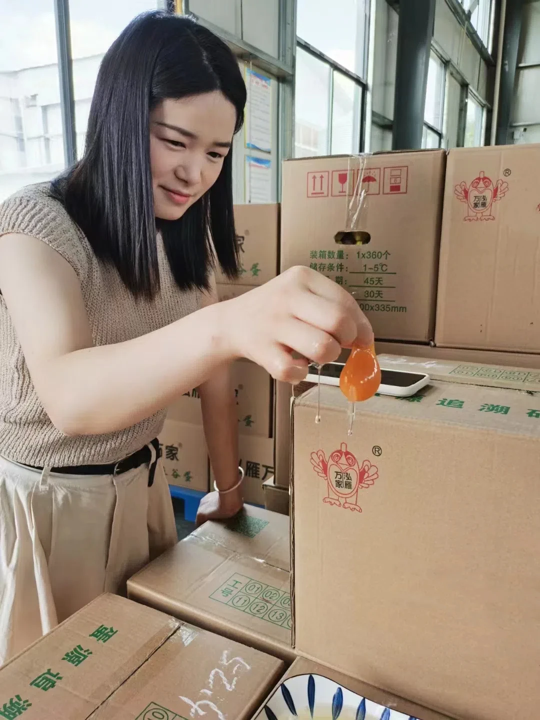 Supplier feed grade 0.5% poultry compound premix for poultry premix