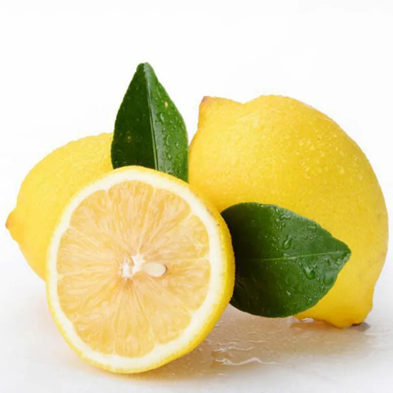 Wholesale price lemon fresh fruit fresh lemon yellow lemon