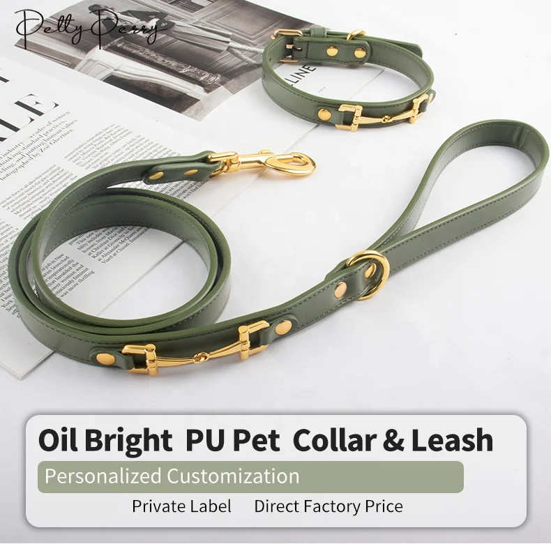 Fashion Luxury Products Durable Designer Chain Dog Collage Exlusiv Gold Dog Collar