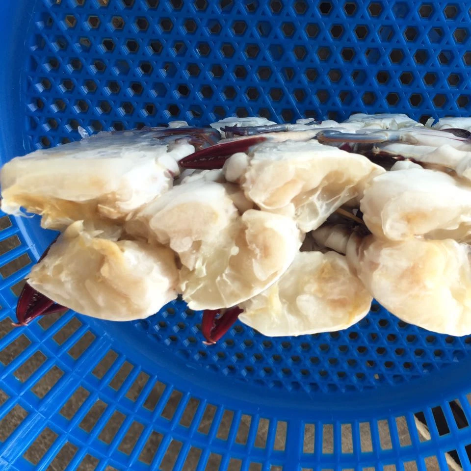 High quality blue king crab swimming cut