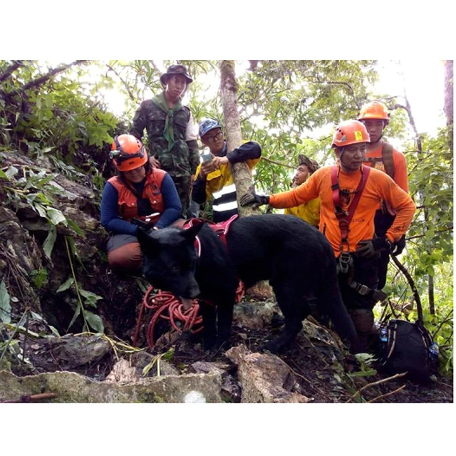 groundwater geophysical survey equipment and  dedektr ekipmanlari