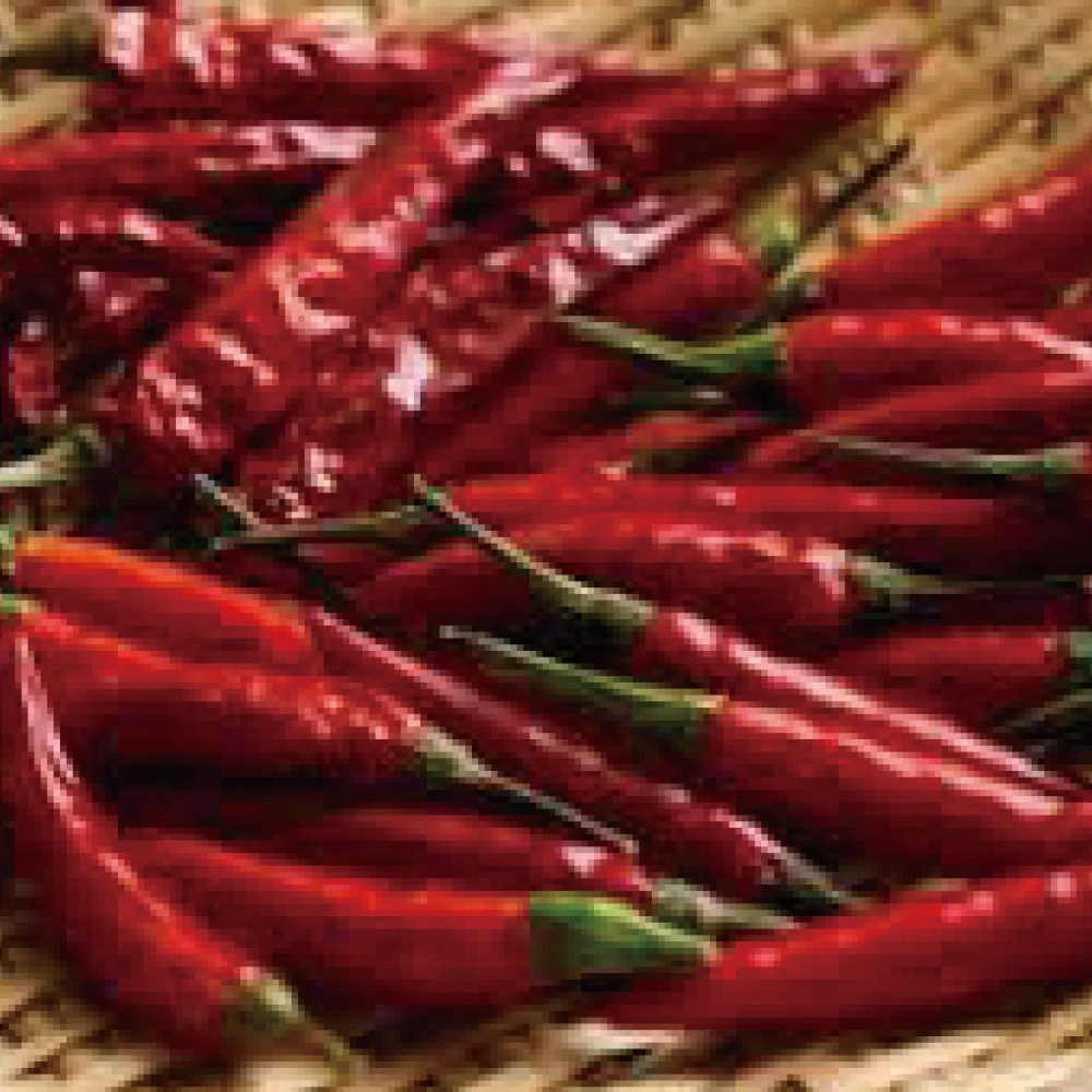 Environmentally Friendly Soup Empty Wholesale Disposable Tea Bag