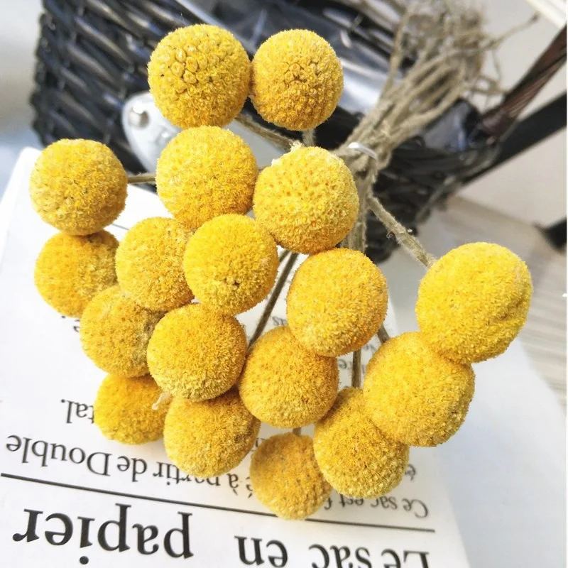 Wedding Bouquet Decor Christmas Wreath DIY Ball Flower Dried Craspedia Yellow Billy Balls Dried Flowers