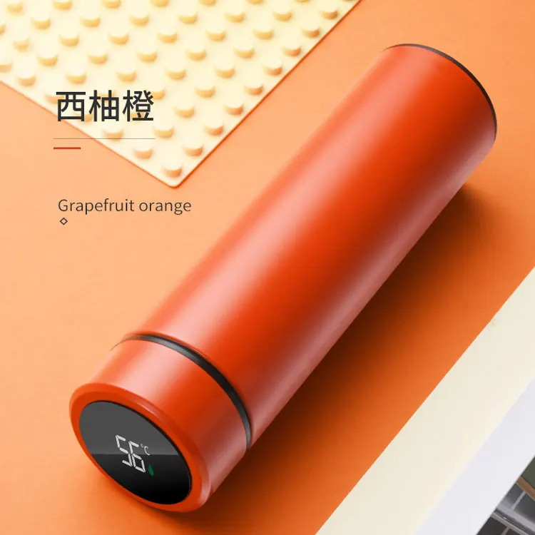 Special new Fahrenheit cheap stainless steel Smart Water Bottle with LED Temperature Display Thermo tumbler cups in bulk