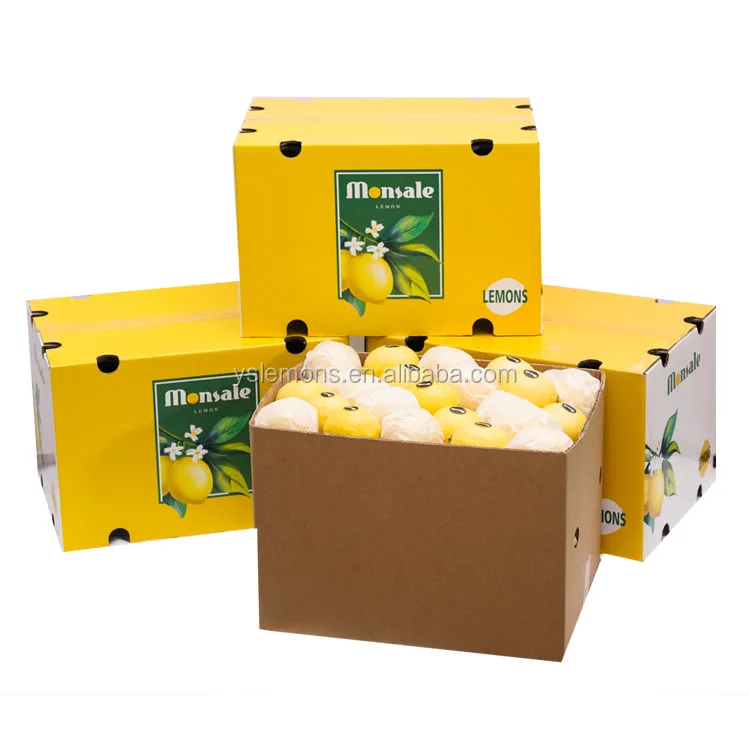 Wholesale Eureka Fresh Organic Lemon Glass Grade B High Quality Citrus Fruits