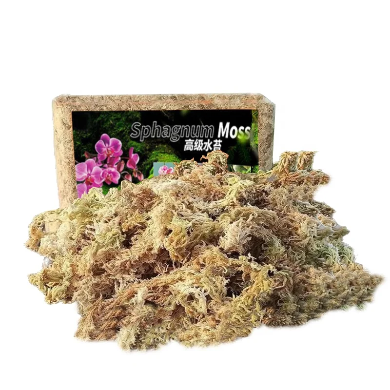 OEM spagmoss premium sphagnum moss custom сушеный shagnum moss sphagnum moss 5 кг для рептилий оптом