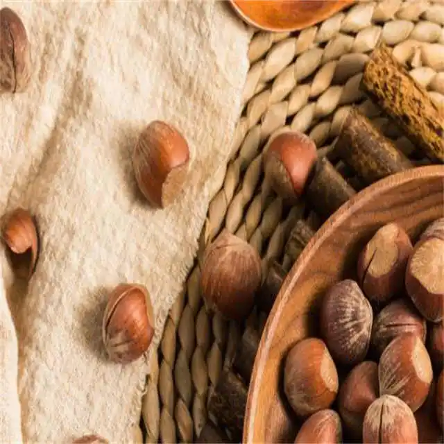 Raw Hazelnut Roasted Hazelnut in Bulk Premium Quality