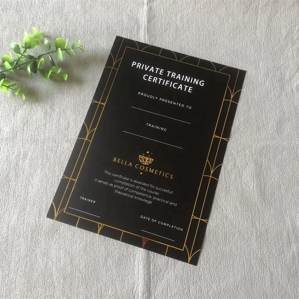 Индивидуальная роскошная бумага для горячего тиснения сертификат частного обучения