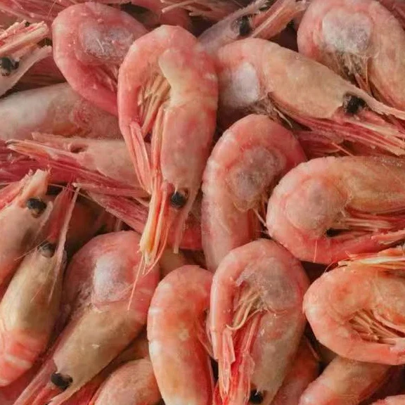 Cold water frozen shrimp to Russia