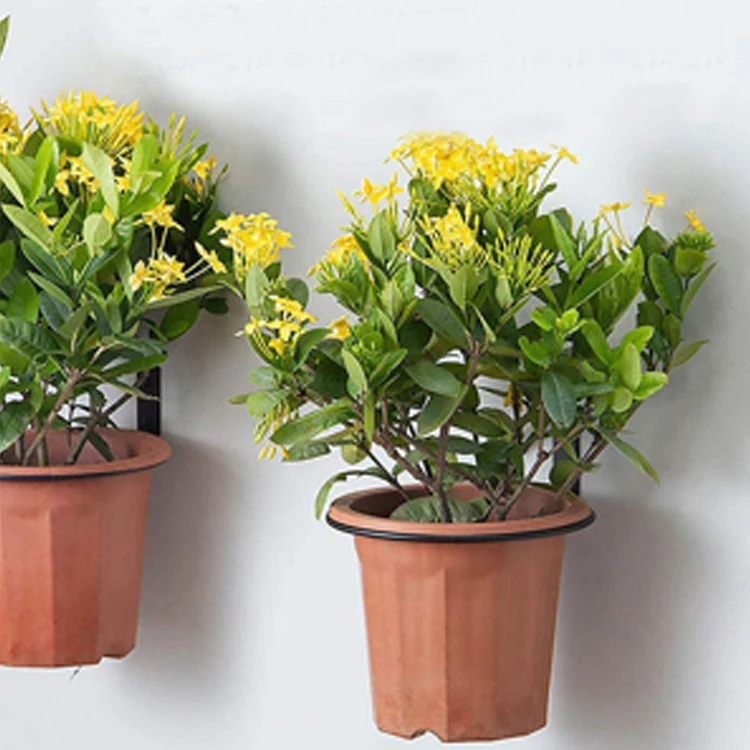 Wall Mount Flower Pot 10 cm Foldable Flower Pot Holder Wall Mount Plant Holder Wall for Home Garden Balcony Black