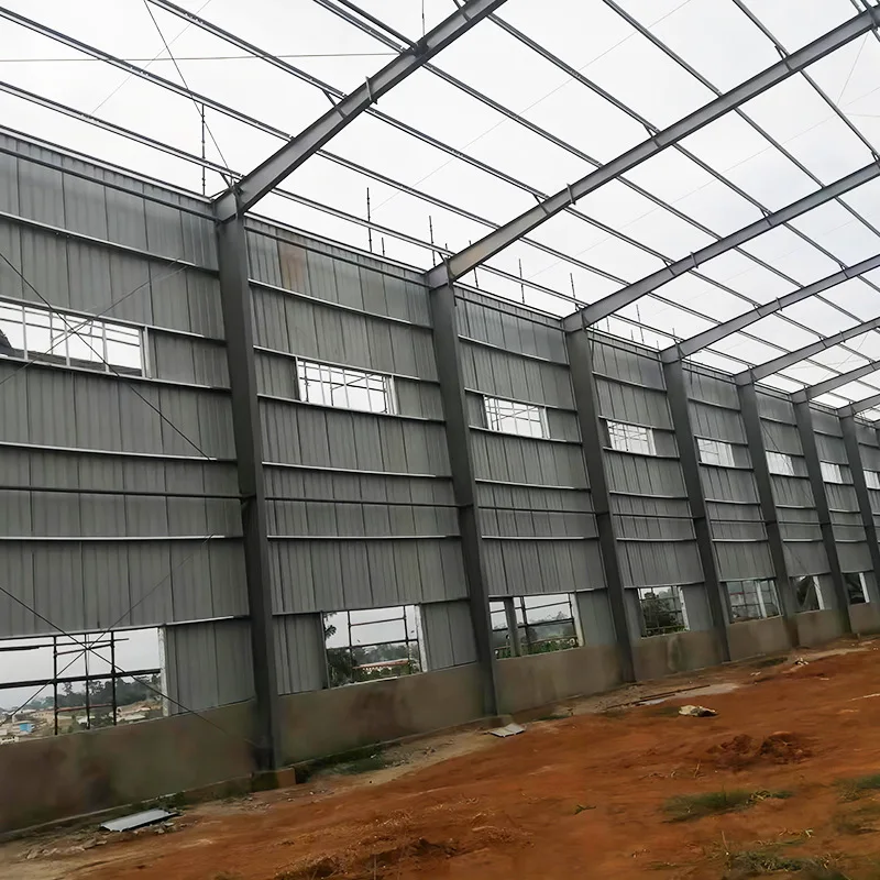 Hot Selling Cheap 2022 New Desgin Free Range Steel Structure Chicken House Shed Poultry Farm