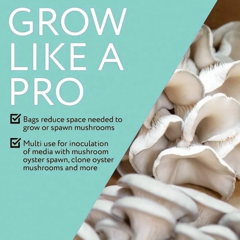 Mushroom Bags Grow Liquid Culture Mushroom-growing-bags for Grower Ready to Inoculate 320mm X650mm Plastic Breathable