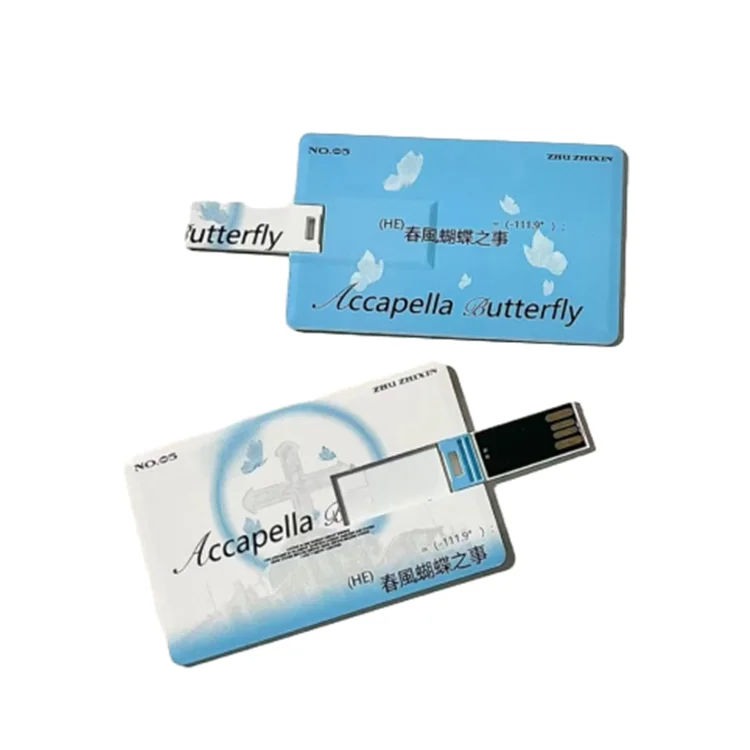 Factory Customized Printing Popular USB Credit Card Big Memory Stick Plastic Business Card USB Flash Drive