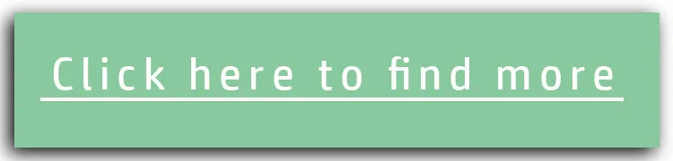 Company Information-2.jpg