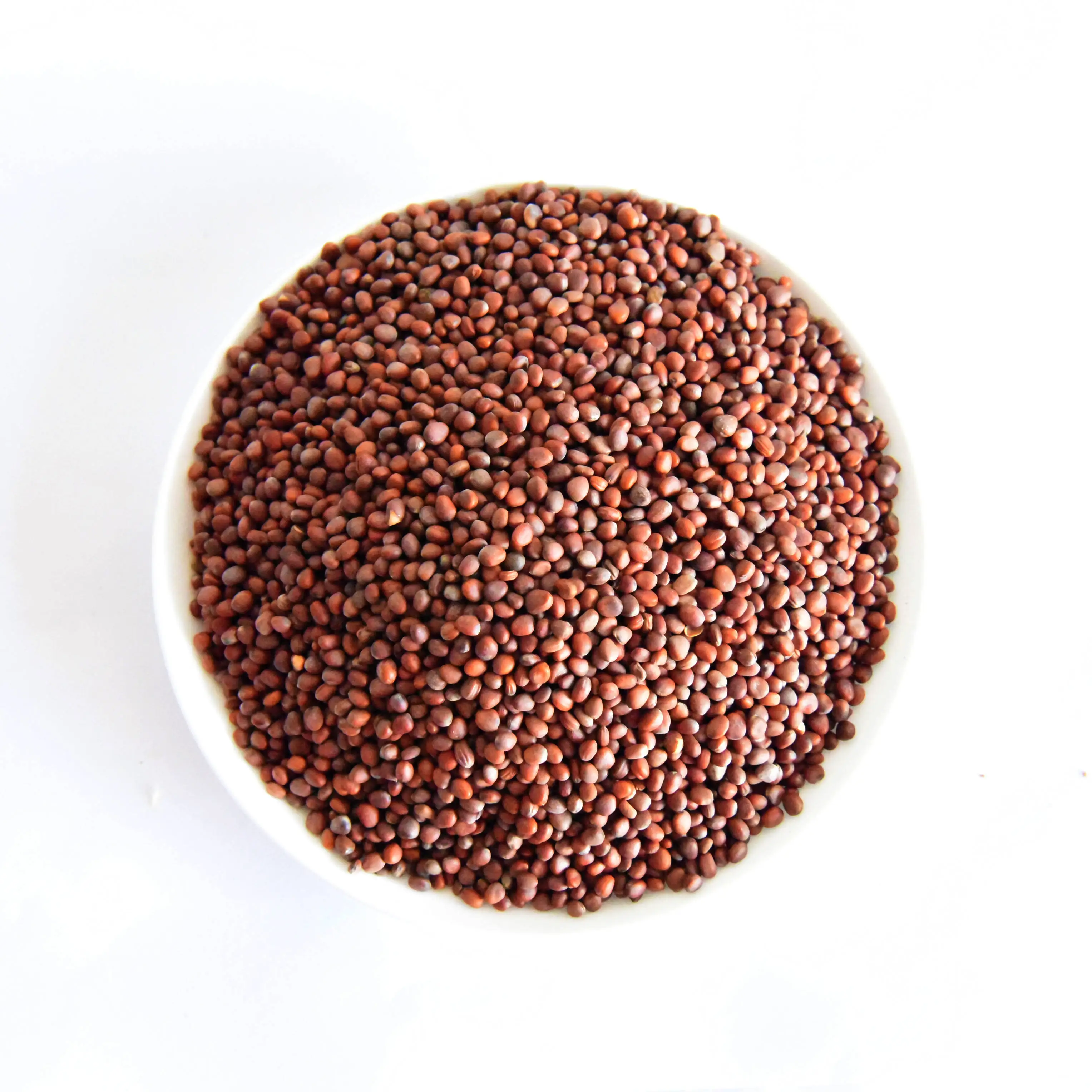 
Factory Supply cheap price Natural Laifuzi RAPHANI SEMEN Raphanus sativus quality herbs whole sale laifuzi 