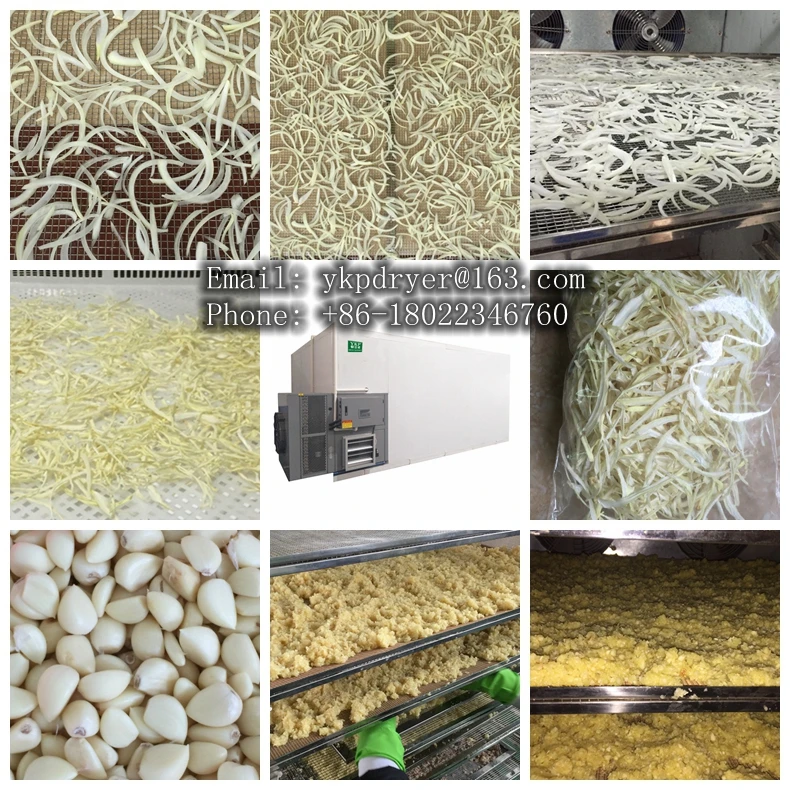 hot air dryer machine vegetable and fruit washing cutting food drying machine