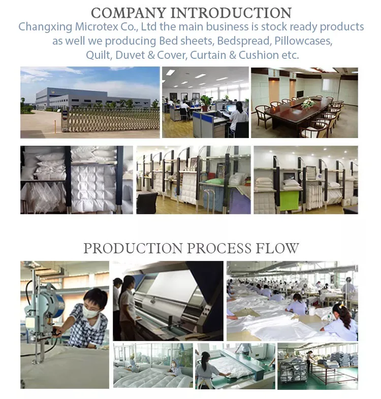 Company In.jpg