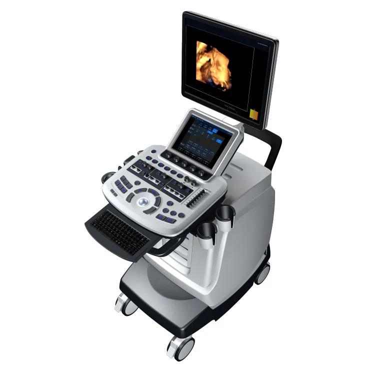 19' HD 3D 4D Digital Portable Color Doppler Ultrasound Diagnostic Ultrasound System Machine