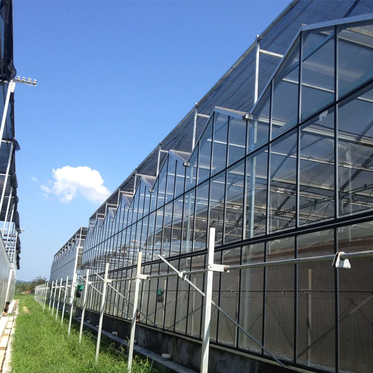 Four Season Low Cost Agricultural Fertigation Irrigation System Pc Sheet glass Greenhouse