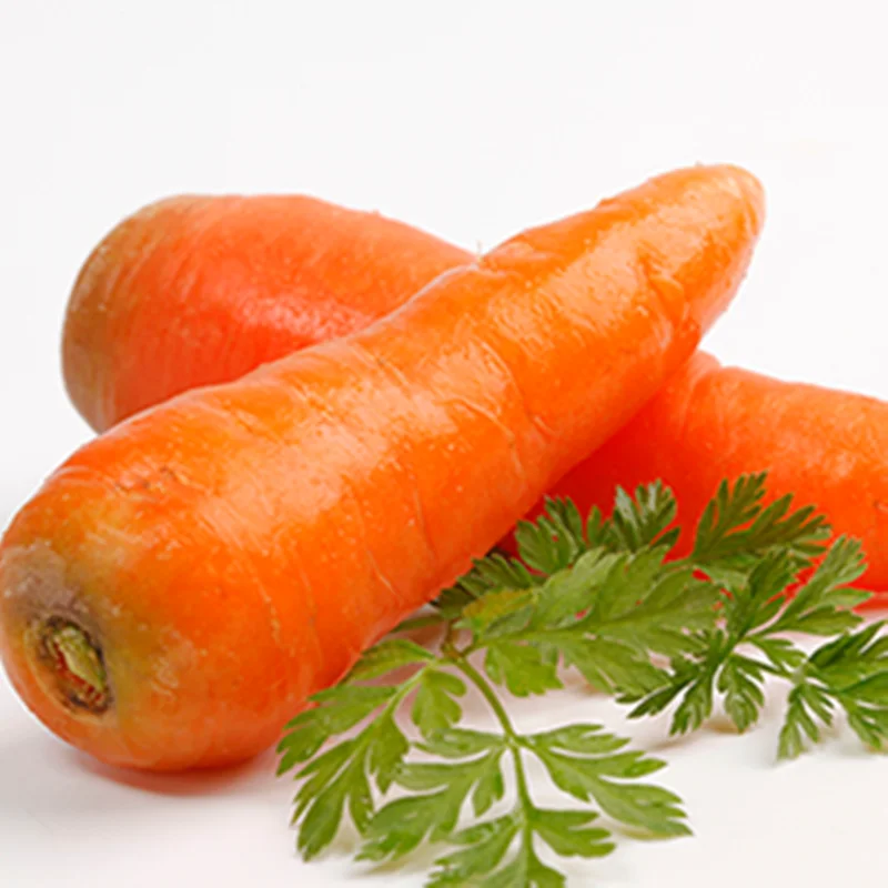 Pure Natural Wholesale Fruit Juice Beverage Carrot extract Carrot Powder