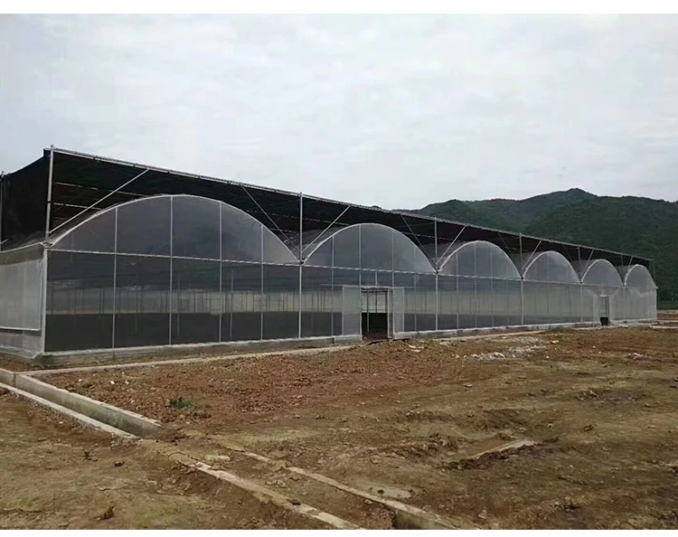 Commercial Plastic Film Tunnel Greenhouse Galvanized Agriculture Transparent Greenhouse Tunnel Garden Greenhouse