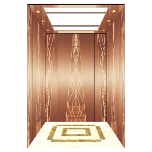 450kg/630kg/800kg/1000kg/1250kg/1350kg/1600kg passenger elevator Lift