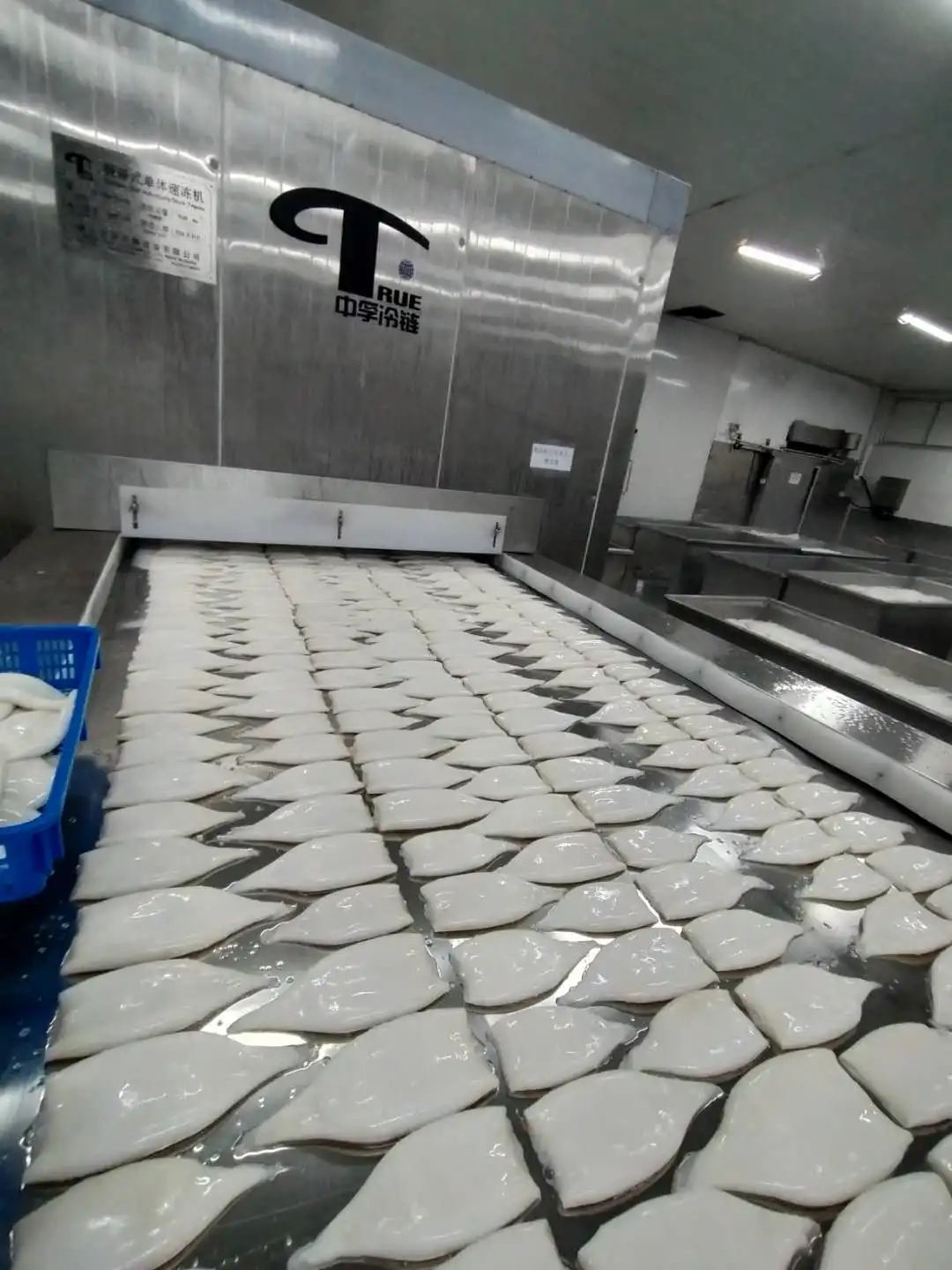 IQF Frozen Squid Tube U3 Frozen Peru Squid for Indonesia Market