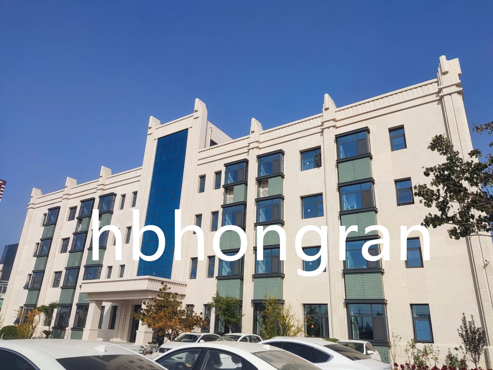 Grade 5-200000 Viscosity Range mPa.s Construction industry hpmc 9004-65-3