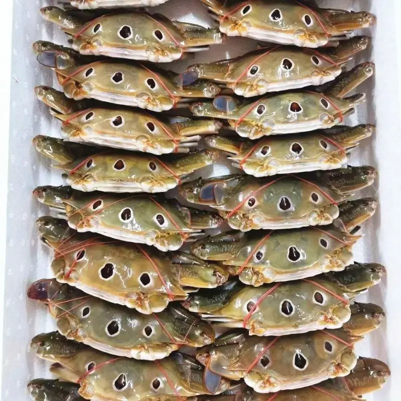 Fresh frozen three-spot crab, large crab, high quality three-eye crab wholesale at low price