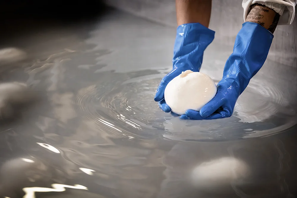 Francia Latticini Italian Quality Mozzarella Cheese Fresh Cheese with Italian Milk Suitable For Vegetarian 4x125Gr