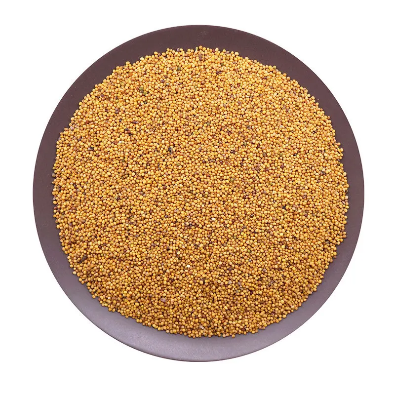 2022 the newest crop China spices supplier wholesale factory directory sell high quality yellow mustard seeds with low price.