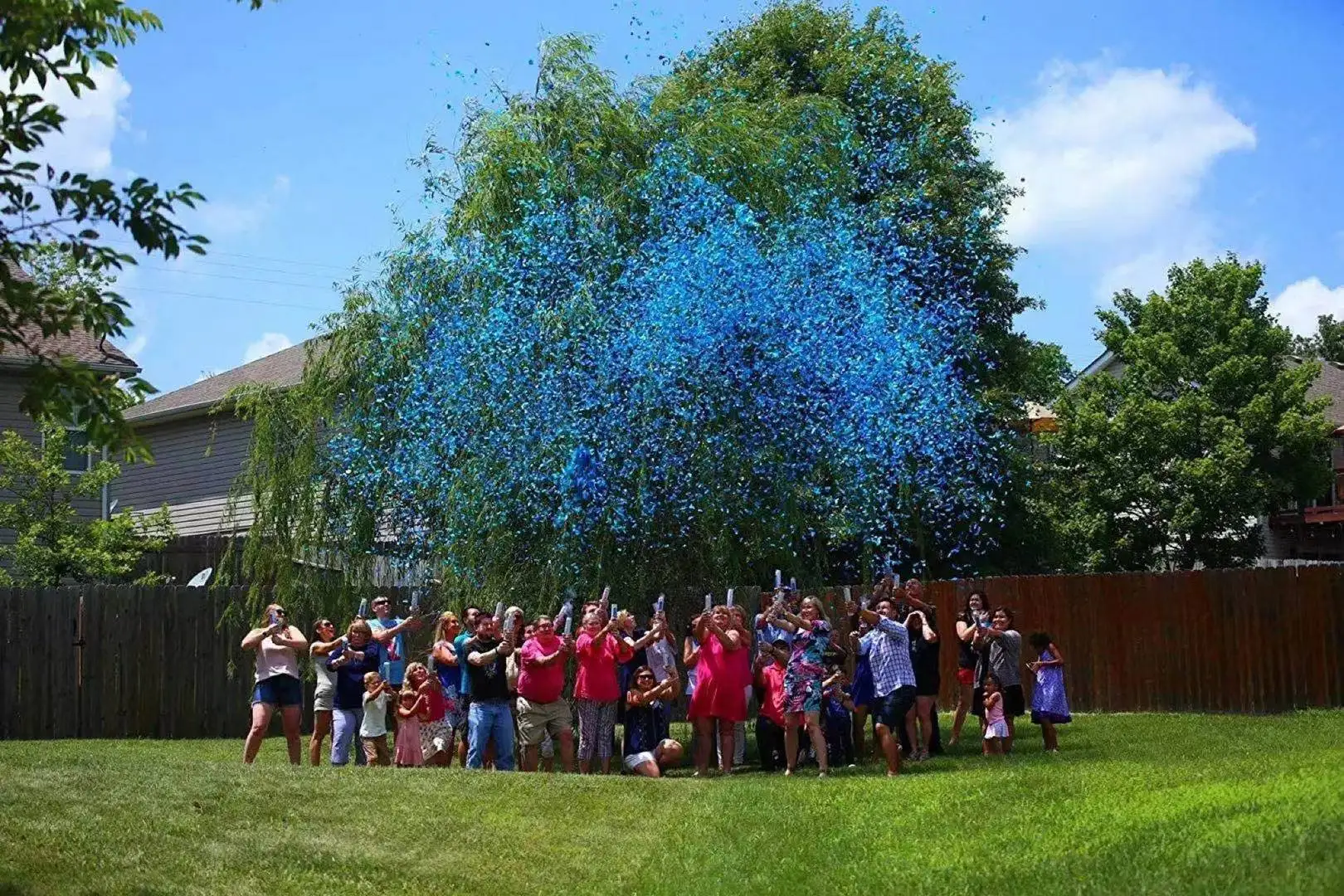 30cm wholesale facorty supply Gender Reveal baby pink and baby blue confetti and powder cannon