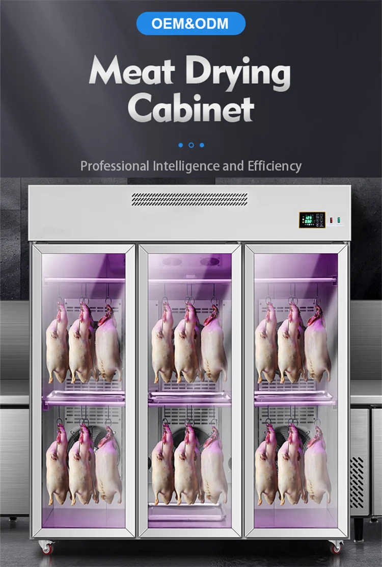 Industrial Commercial Eletrie Drying Machine Fish Food Meat Biltong Beef Jerk Dryer Dehydrator Pump CE Provided 220V 220 100KG