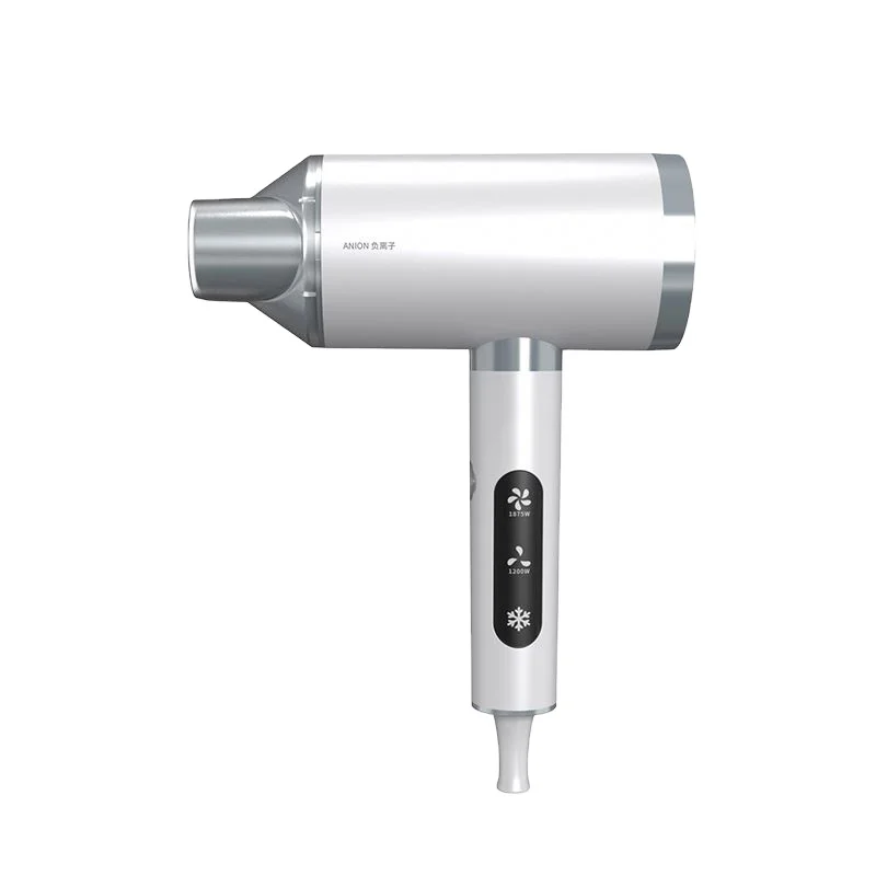 Weshcan Wholesale Ac Motor For With Led Light Professional Blow Hair Dryer