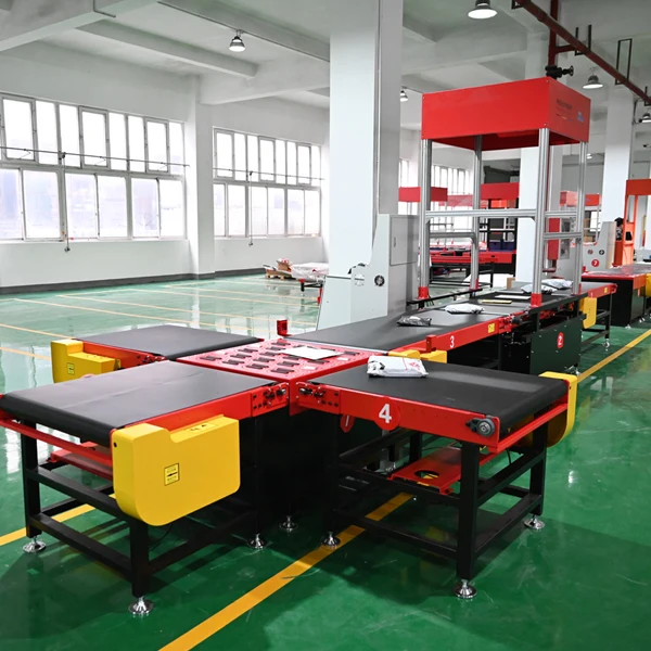 Dws Conveyor Line Product Dimension And Weight Scanner Parcel Weighing And Scanning